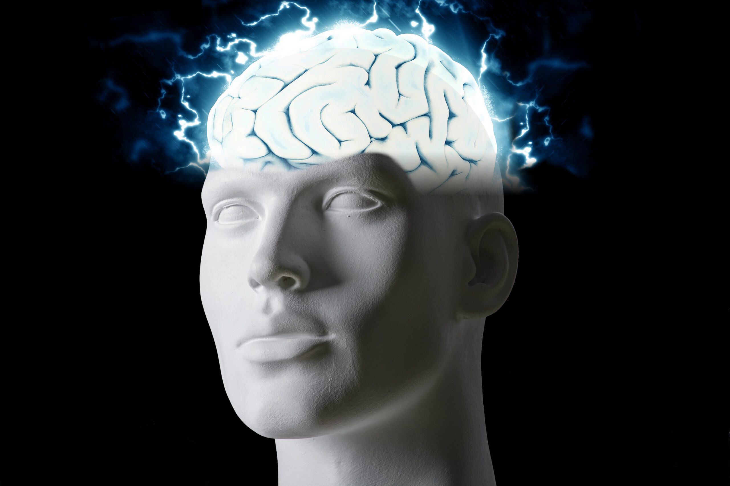 tumisu-brain-5885161